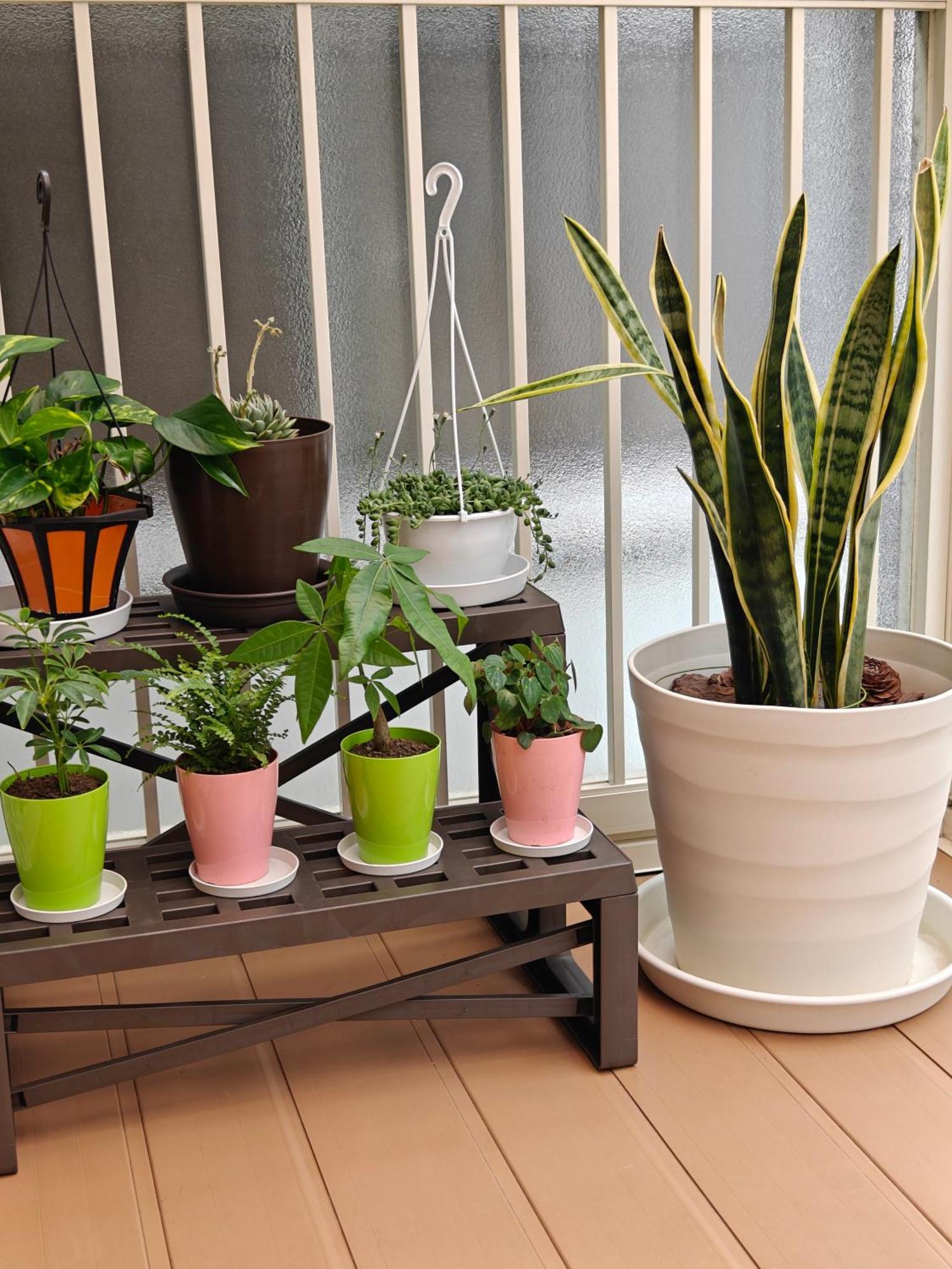 Appartement Sunshine House